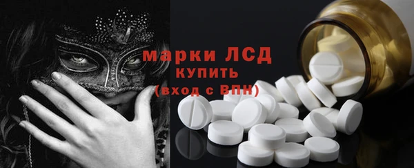 ешки Аркадак