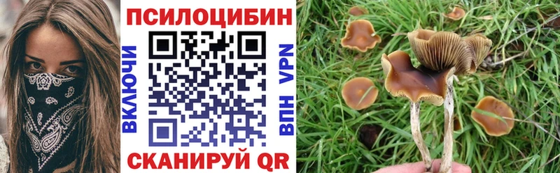 Галлюциногенные грибы Psilocybine cubensis Пласт